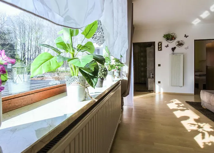 2 Bedroom Cozy In Appartement